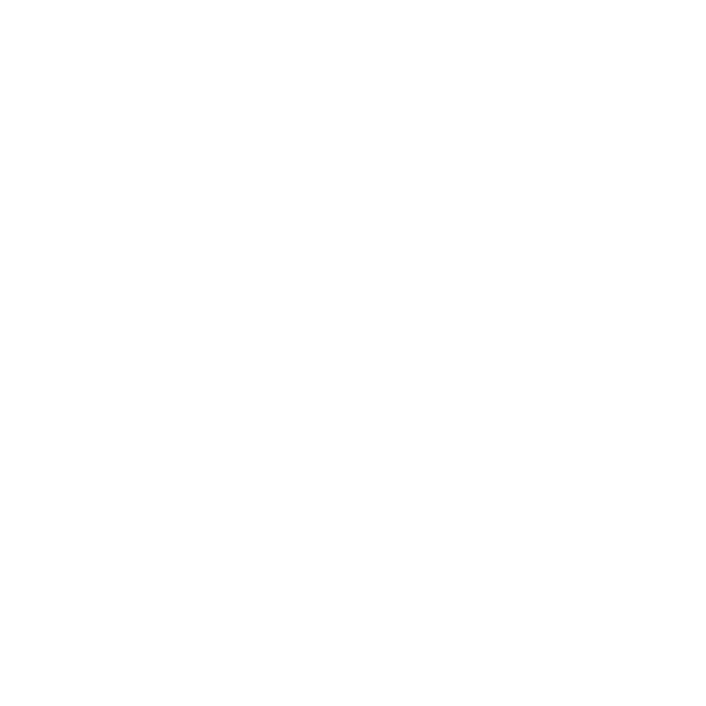 Flyer Gadgets